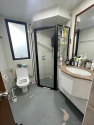 Dover Parkview (D5), Condominium #461550461
